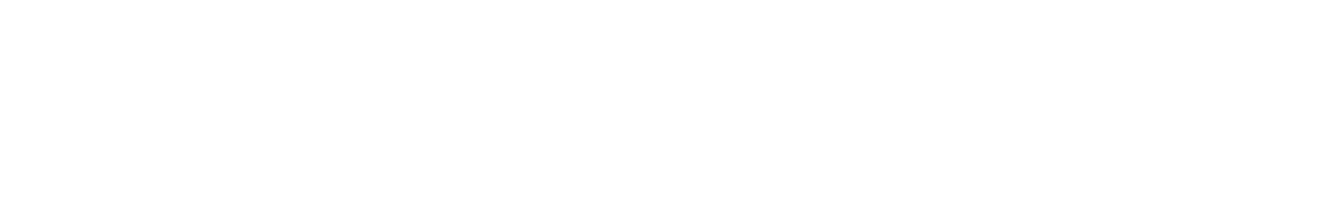 Heading 1: SkillSetPlus